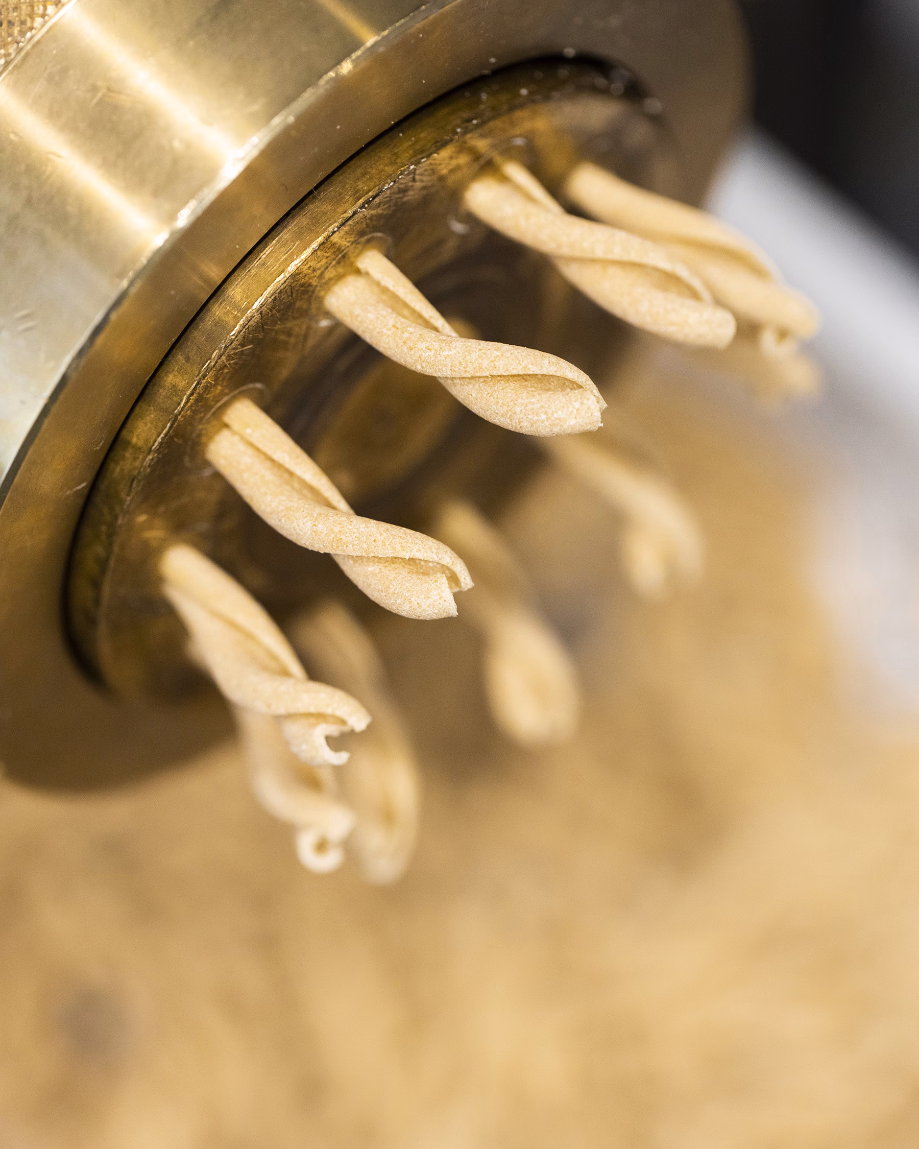 Enjoy Handmade Italian Food & Pasta in Redmond, WA