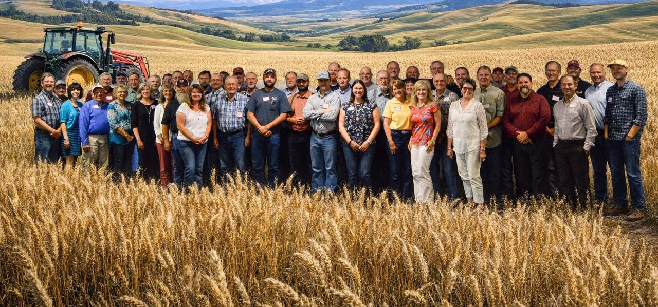 A Shepherd's Grain farmer in his wheat field