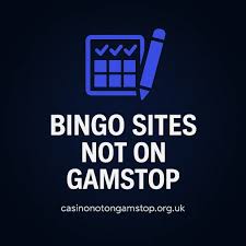 Exploring Online Bingo Sites Not on GamStop