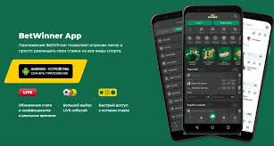 Everything You Need to Know About 1xBet A Comprehensive Guide 2015897691